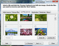 Flash File Recovery screenshot